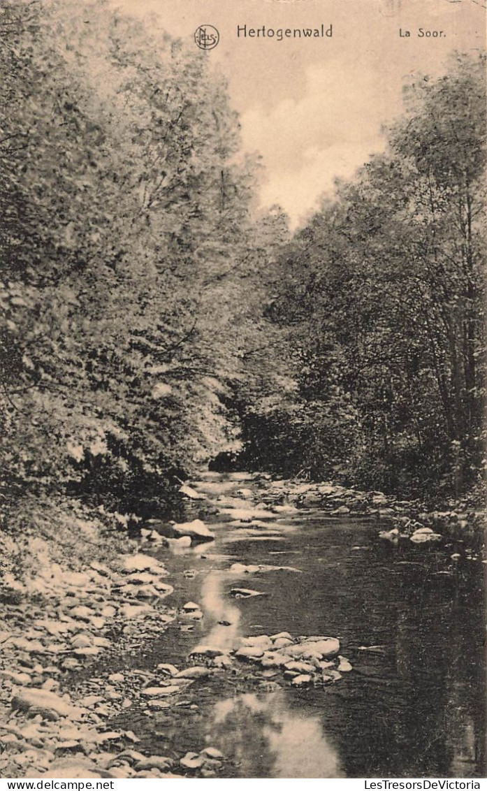 BELGIQUE - Hertogenwald - La Soor - Carte Postale Ancienne - Limburg