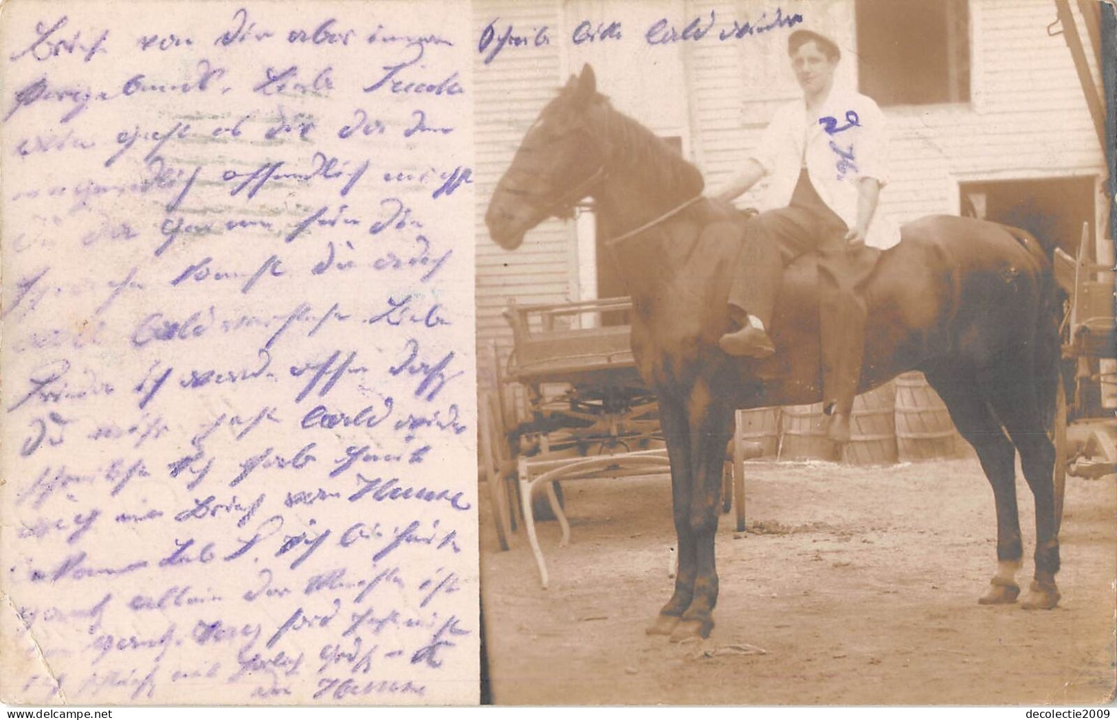 Us123 Man With A Horse New York Real Photo Brooklyn 1909 186 Montauk Avenue - Brooklyn