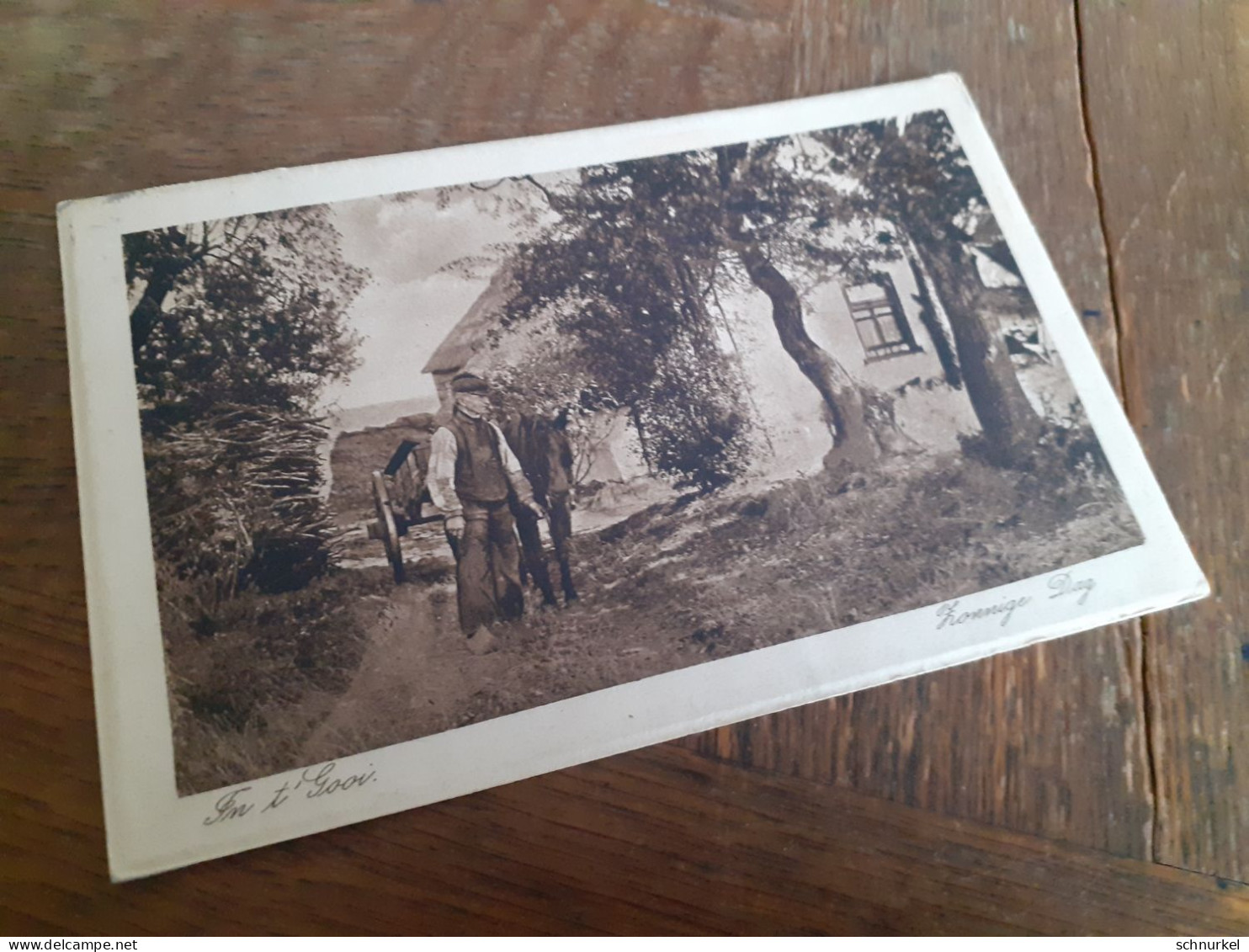 NAARDEN - GOOISE MEREN - HOLLAND - NIEDERLANDE - PEASANT With HORSE WAGON - ZONNIGE DAG - 1920 - AMSTERDAM - Naarden