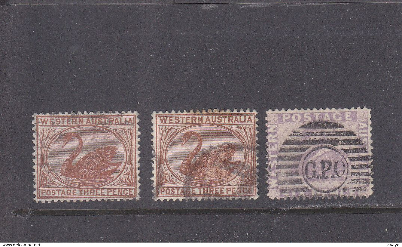 WESTERN AUSTRALIA - O / FINE CANCELLED - SWAN - CIGNE - 1885 - Yv. 34, 36    Mi. 25C (2), 27Cb - Used Stamps