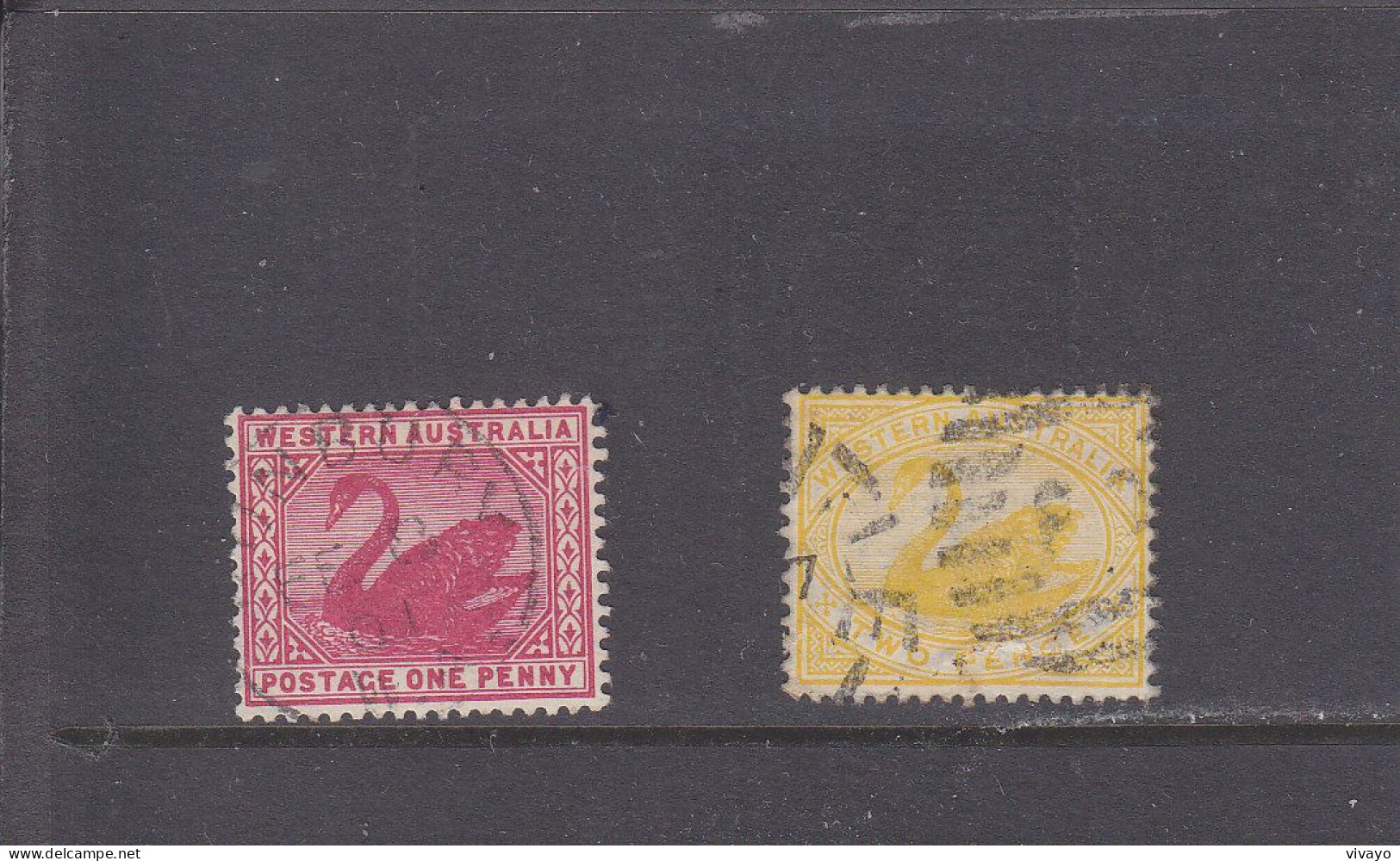 WESTERN AUSTRALIA - O / FINE CANCELLED - SWAN - CIGNE - 1898/1907 -  Yv. 53, 54     Mi. 44, 45 - Used Stamps