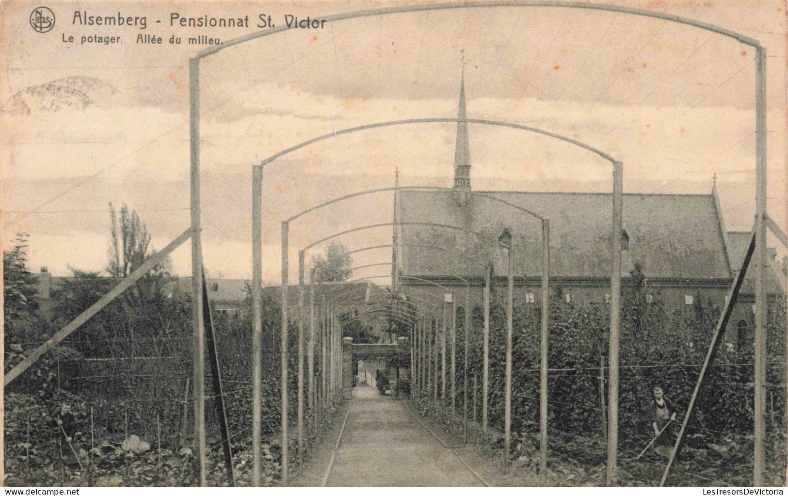 BELGIQUE - Alsemberg - Pensionnat Saint Victor - Le Potager - Allée Du Milieu - Carte Postale Ancienne - Beersel