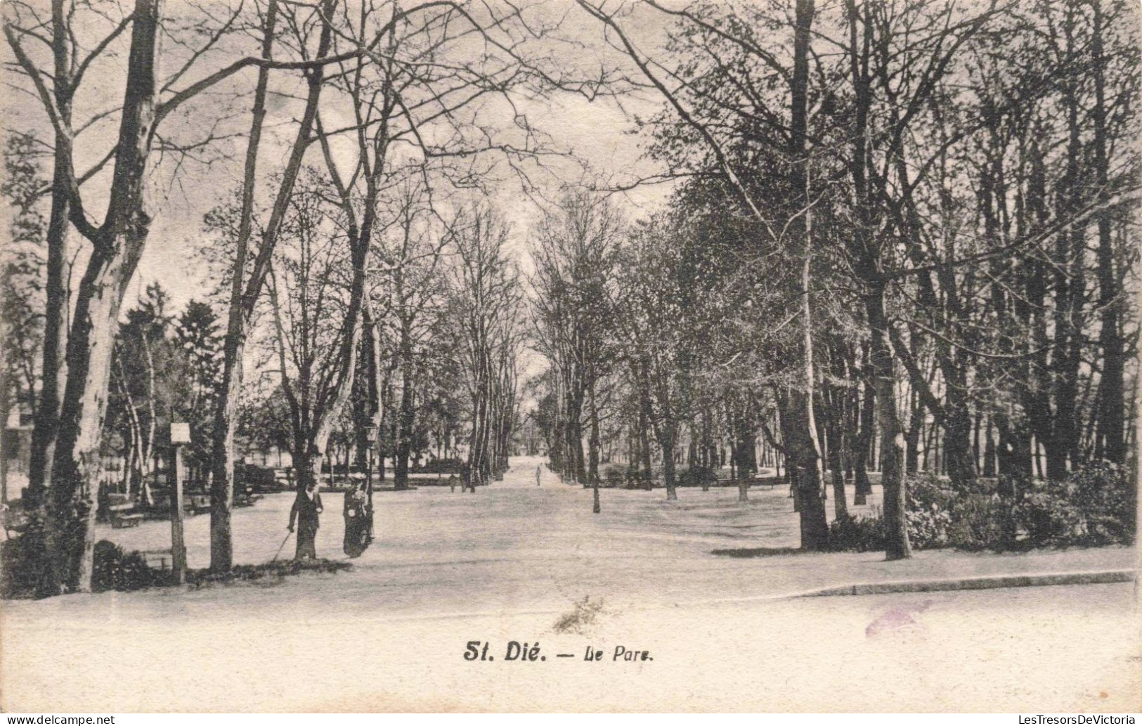 FRANCE - Saint-Dié - Le Parc - Carte Postale Ancienne - Saint Die