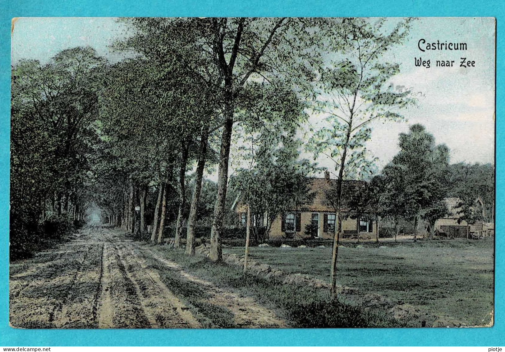 * Castricum - Zaanstreek (Noord Holland - Nederland) * (De Tulp Haarlem) Weg Naar Zee, Allée, KLEUR, Old, Rare - Zaanstreek