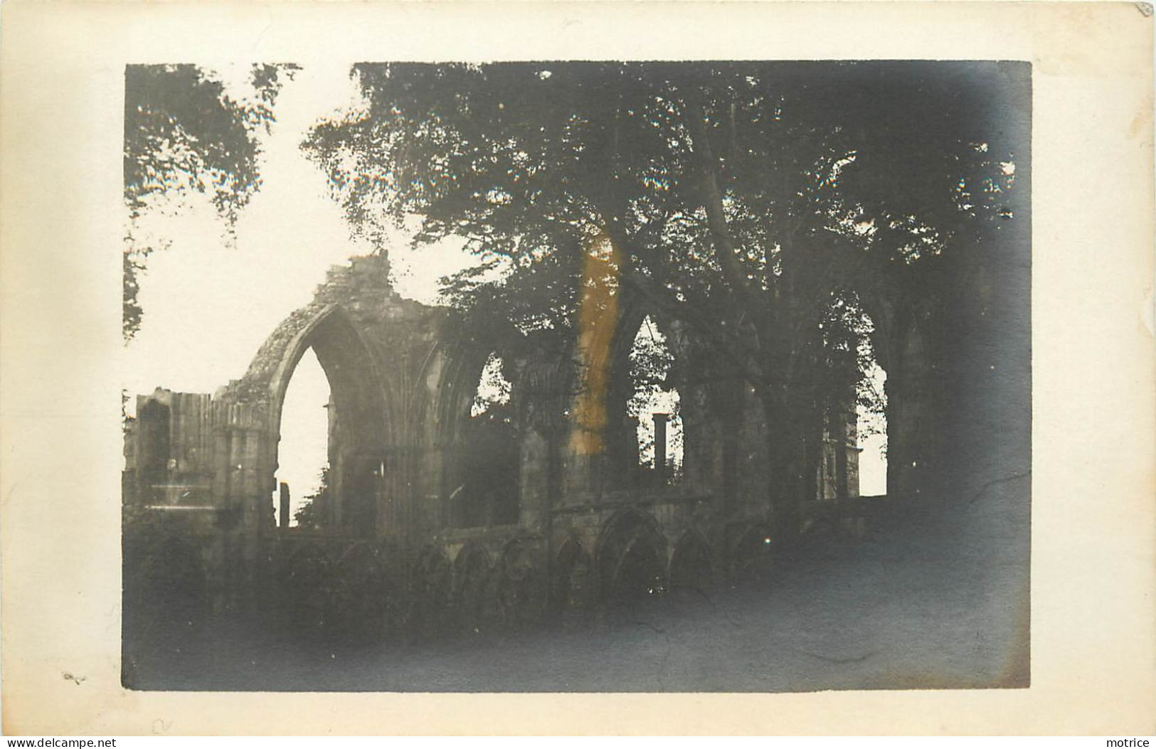 YORK - Ruines De St Marry's Abbey,  Carte Photo Vers 1900. - York