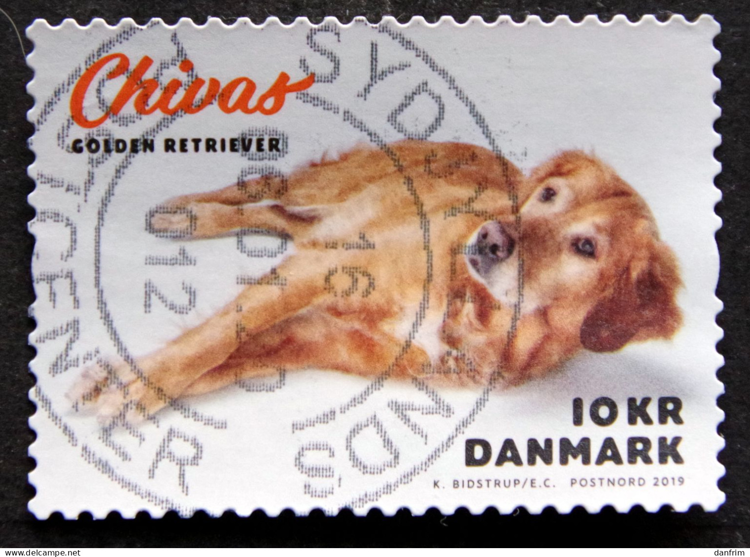 Denmark 2019 Dogs   Minr.1987  (lot G 1695 ) - Gebruikt