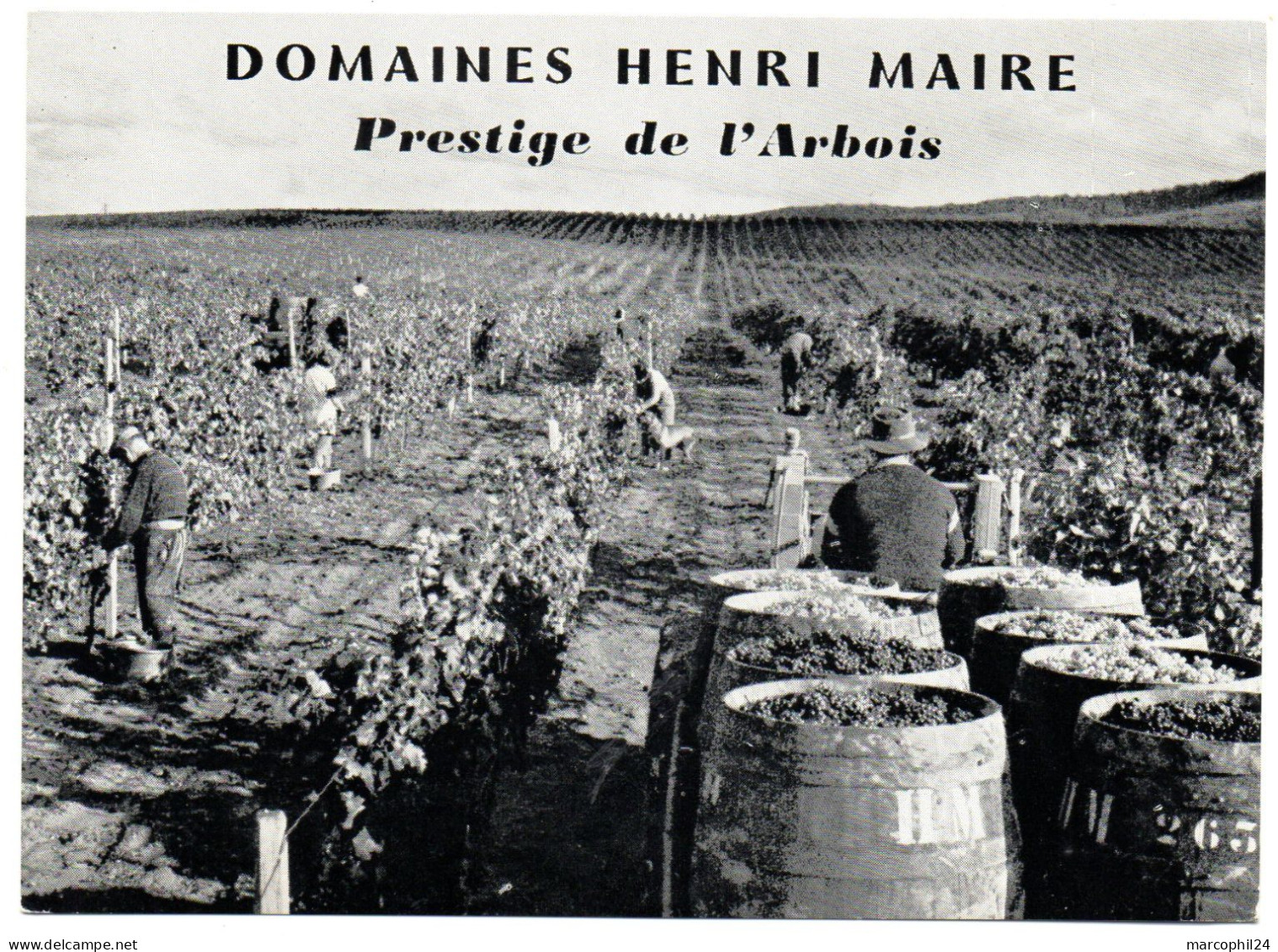 JURA - Dépt N° 39 = ARBOIS 1964-1965 = CARTE REPONSE T  ' HENRI MAIRE - CHATEAU MONTFORT + CP VENDANGES + GOUTEVIN ' - Cartes/Enveloppes Réponse T