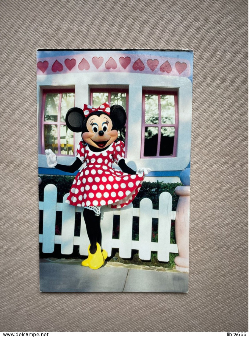 Walt Disney World - Minnie Mouse / 2003 Orlando -> Belgium, Hemiksem Mw. De Winter - Disneyworld
