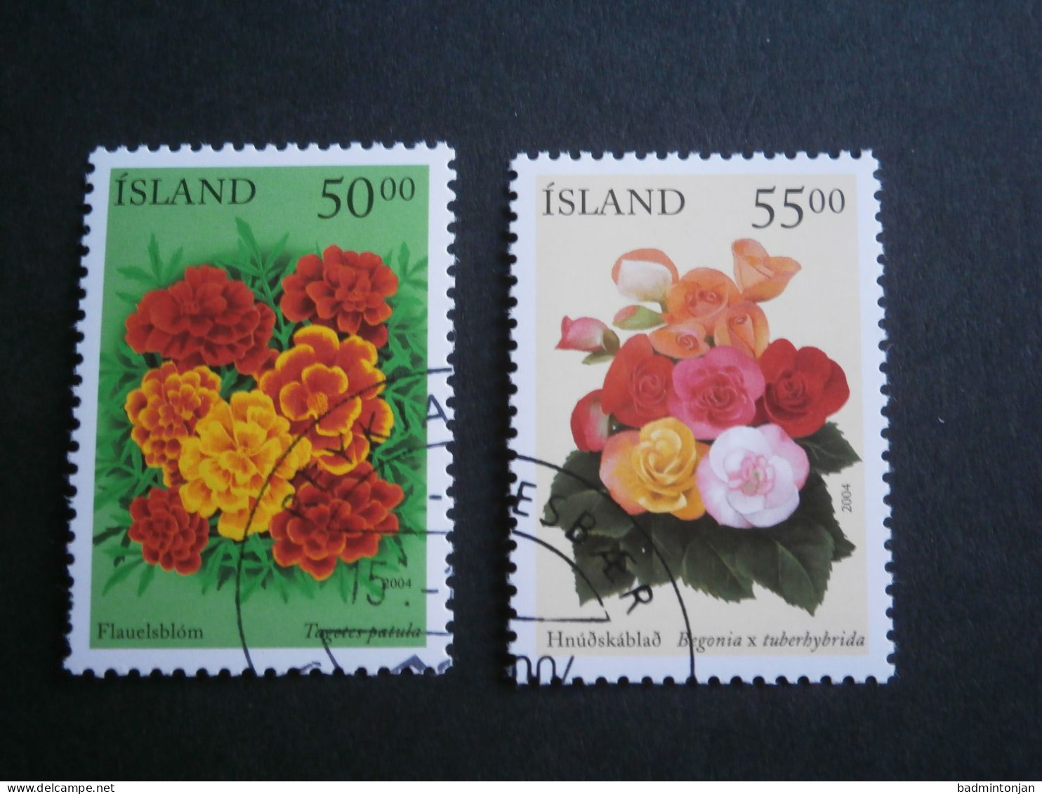 IJsland 2004 Mi. 1051-1052 Used / Gestempeld - Gebraucht