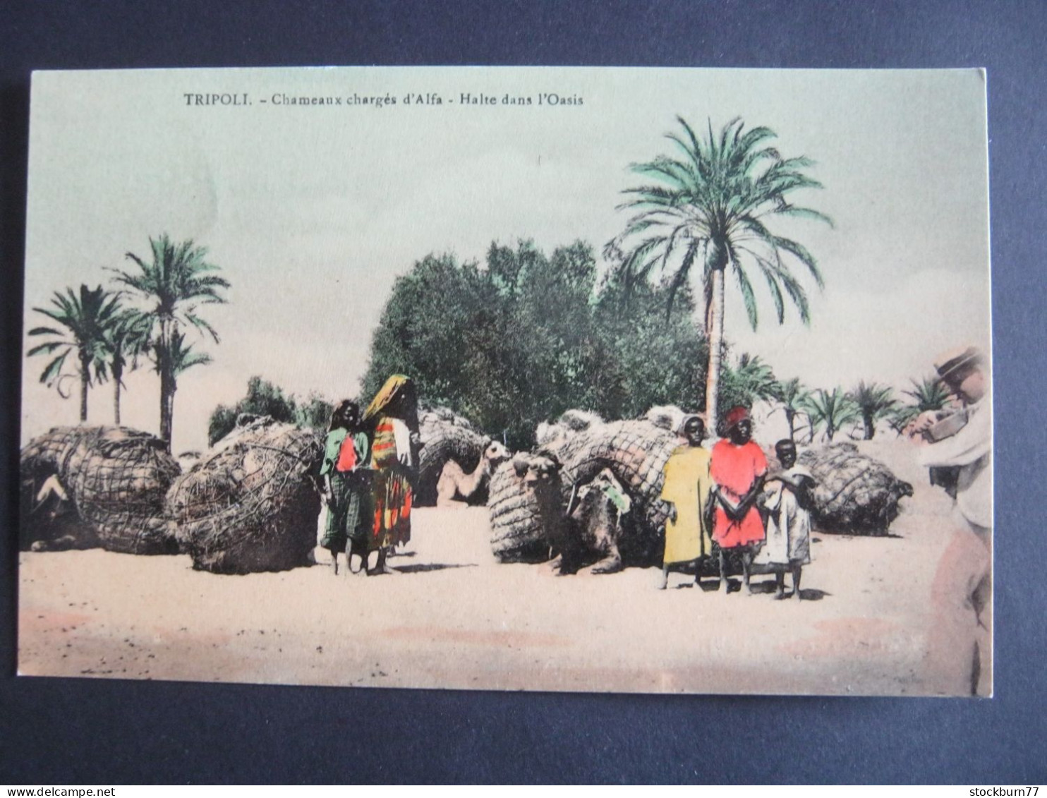 LYBIA , Tripoli,  ,  Schöne Karte Um  1910 - Libia