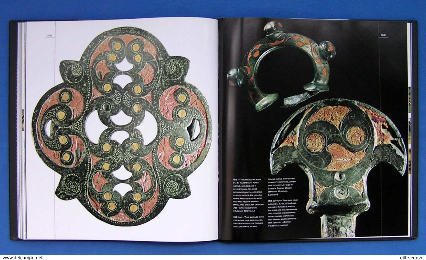The Celts: History and Treasures of an Ancient Civilization 2007