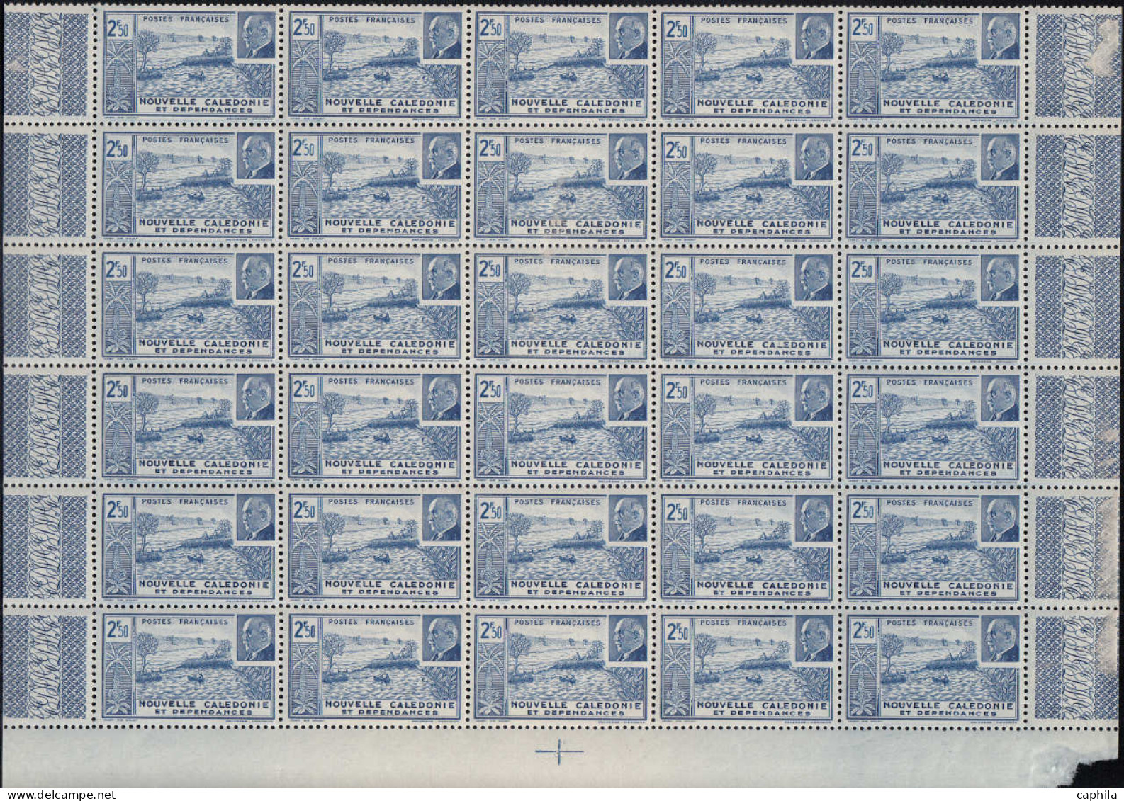 ** COLONIES SERIES - Poste - 1944, Pétain en panneaux de 30 (sauf AEF - Madagascar - Océanie) souvent 2 valeurs par bloc