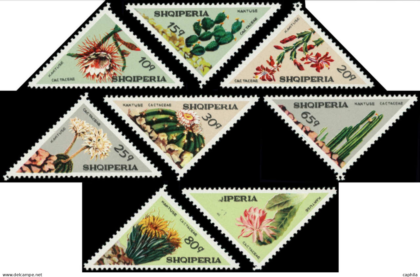 O ALBANIE - Poste - 1425/32, Série Complète, Tous Légende Doublée Dont 1432 Faciale Et Pays En Partie Effacés: Fleurs - Used Stamps