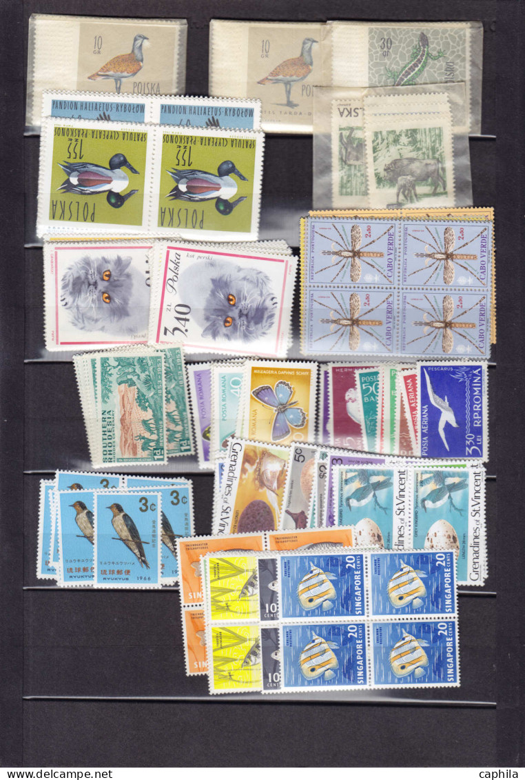 ** Animaux - Lots & Collections - (1950/1980), Petit Stock De Timbres Et Séries Complètes - Autres & Non Classés