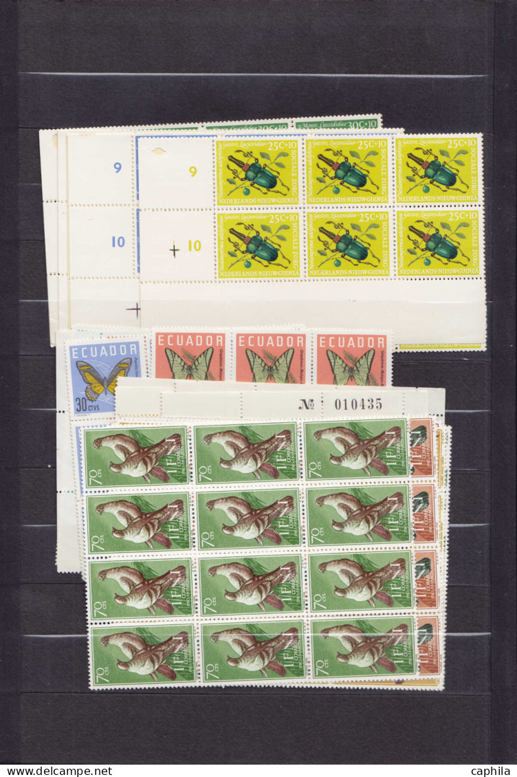 ** Animaux - Lots & Collections - (1950/1980), petit stock de timbres et séries complètes