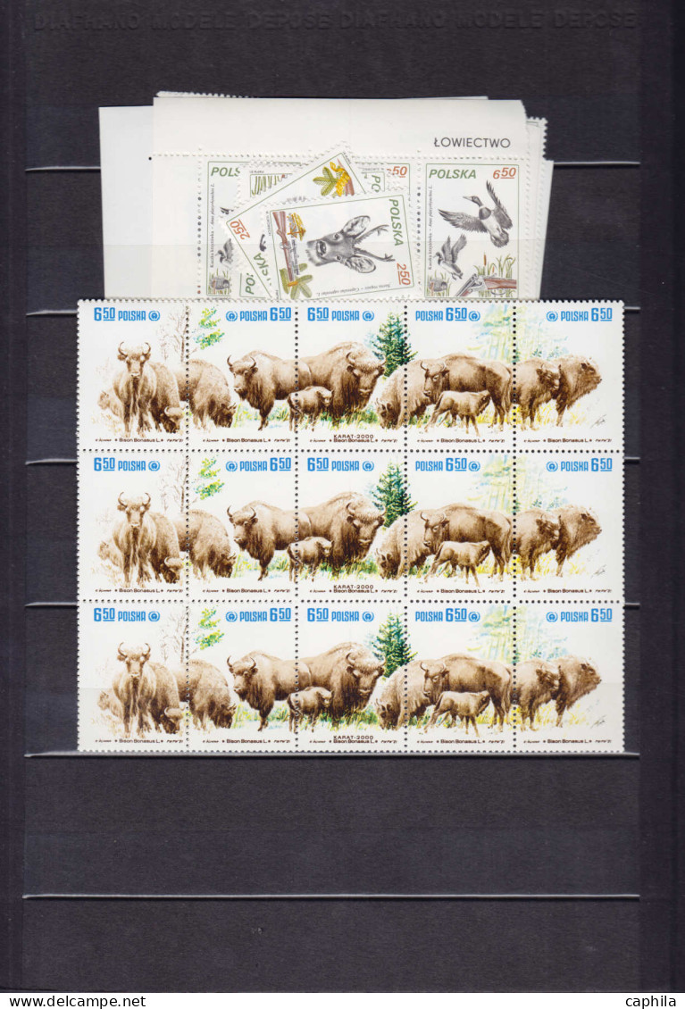 ** Animaux - Lots & Collections - (1950/1980), petit stock de timbres et séries complètes