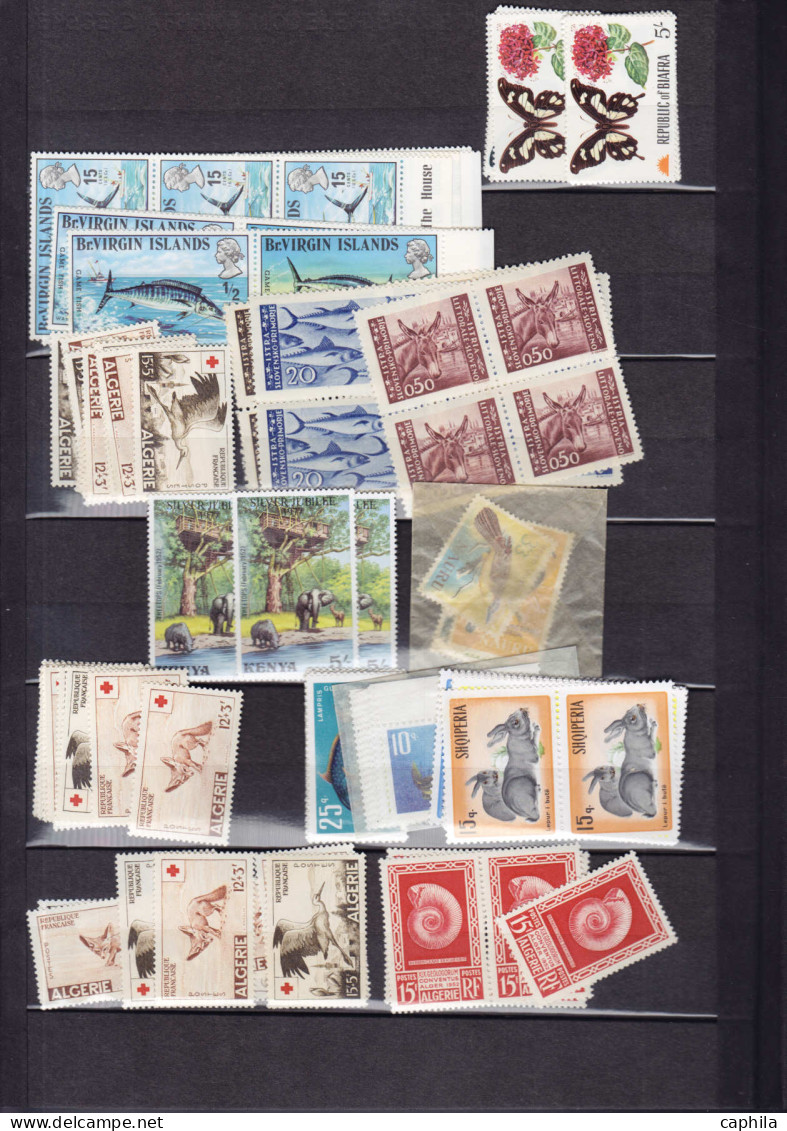 ** Animaux - Lots & Collections - (1950/1980), petit stock de timbres et séries complètes