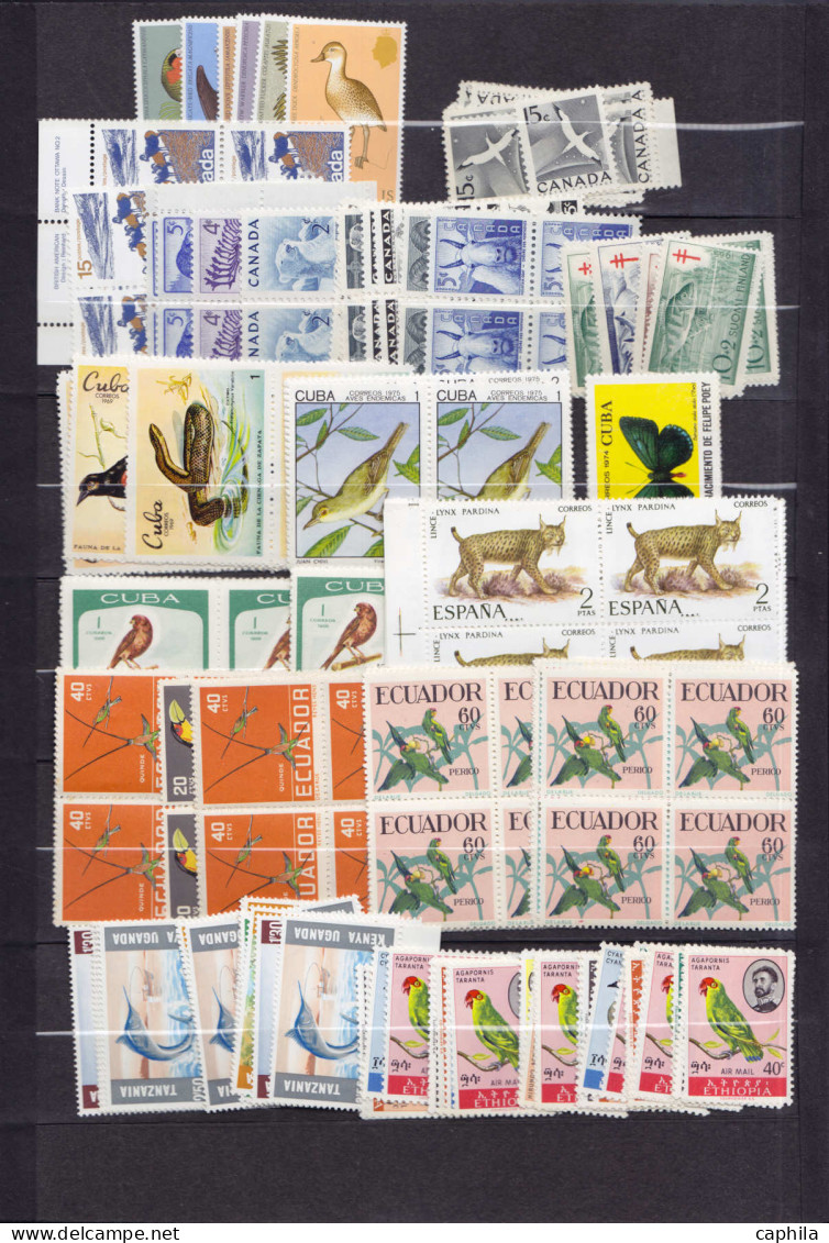 ** Animaux - Lots & Collections - (1950/1980), petit stock de timbres et séries complètes