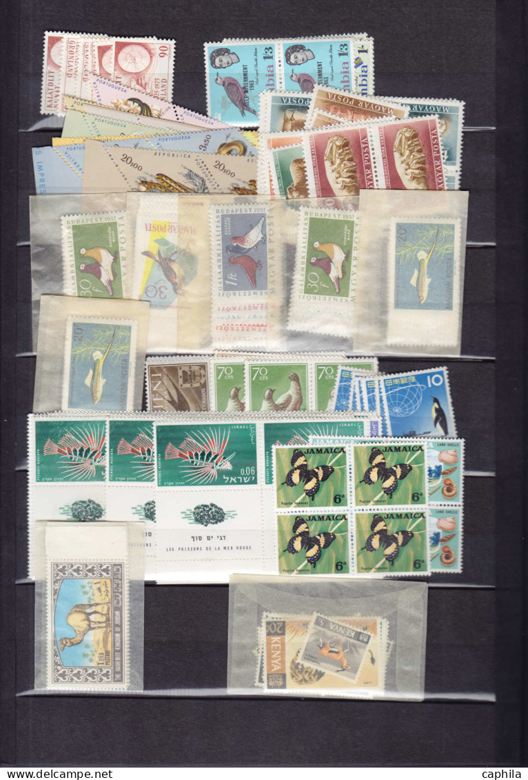 ** Animaux - Lots & Collections - (1950/1980), petit stock de timbres et séries complètes