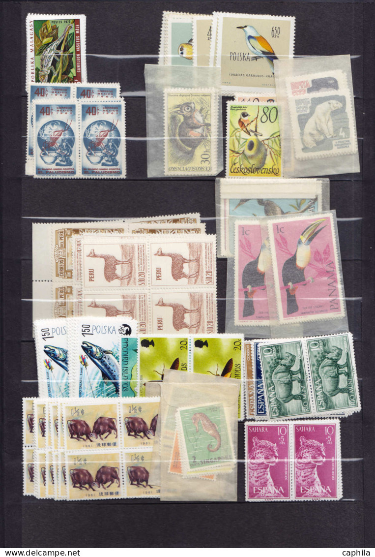 ** Animaux - Lots & Collections - (1950/1980), petit stock de timbres et séries complètes