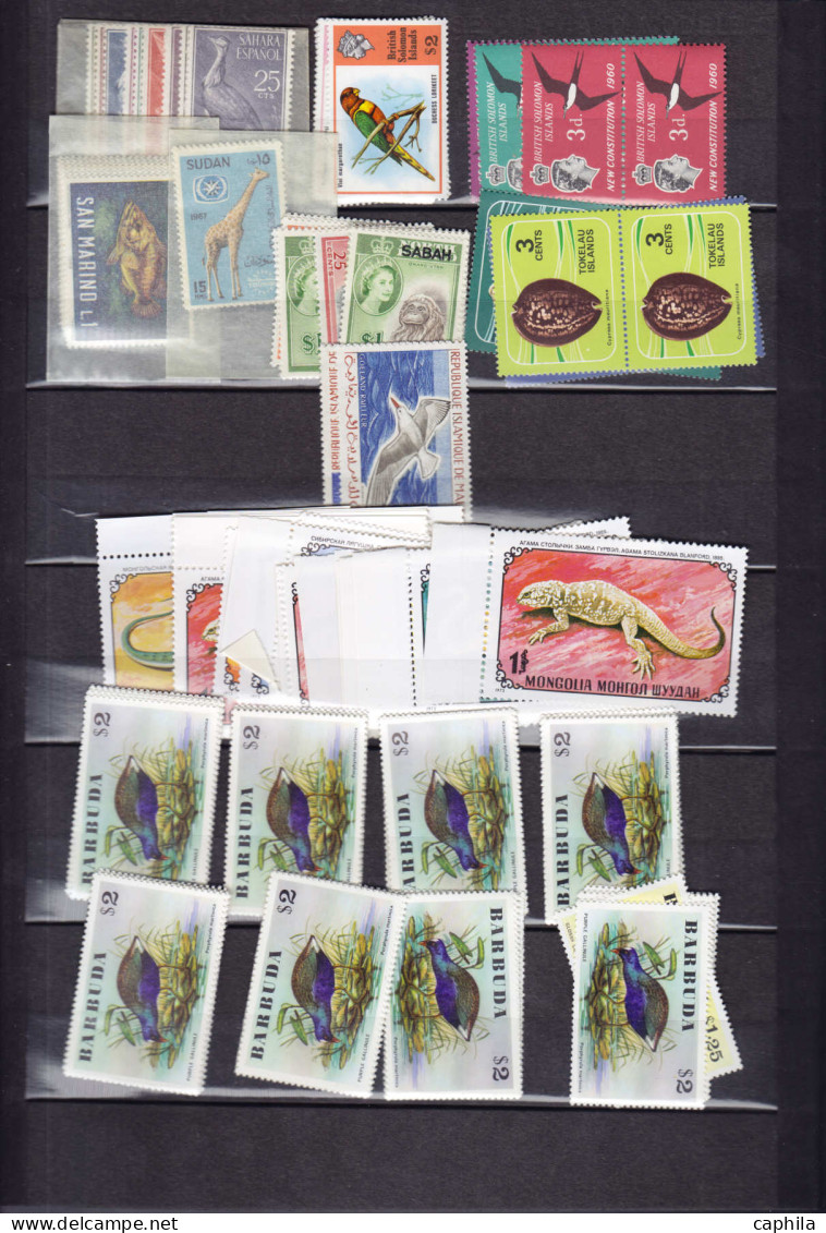 ** Animaux - Lots & Collections - (1950/1980), petit stock de timbres et séries complètes
