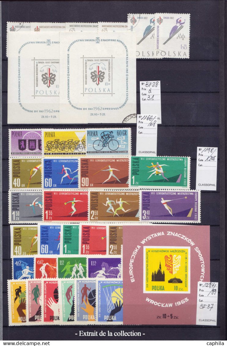 LOT Sports - Lots & Collections - Collection en 3 albums, timbres neufs ** et oblitérés