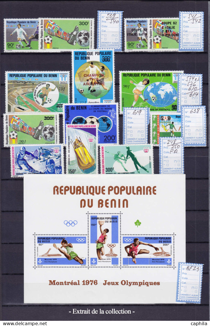 LOT Sports - Lots & Collections - Collection en 3 albums, timbres neufs ** et oblitérés