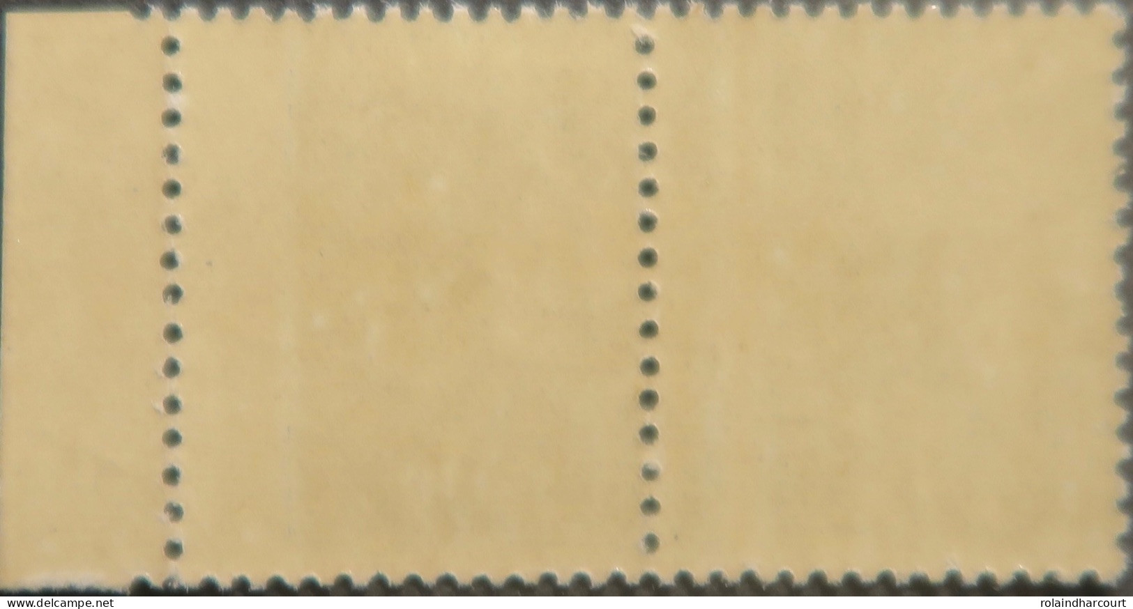 R1118/204 - 1924/1926 - TYPE SEMEUSE CAMEE - (PAIRE) - N°193 (I) NEUFS** BdF - SUPERBE VARIETE >>> Piquage à Cheval - Unused Stamps