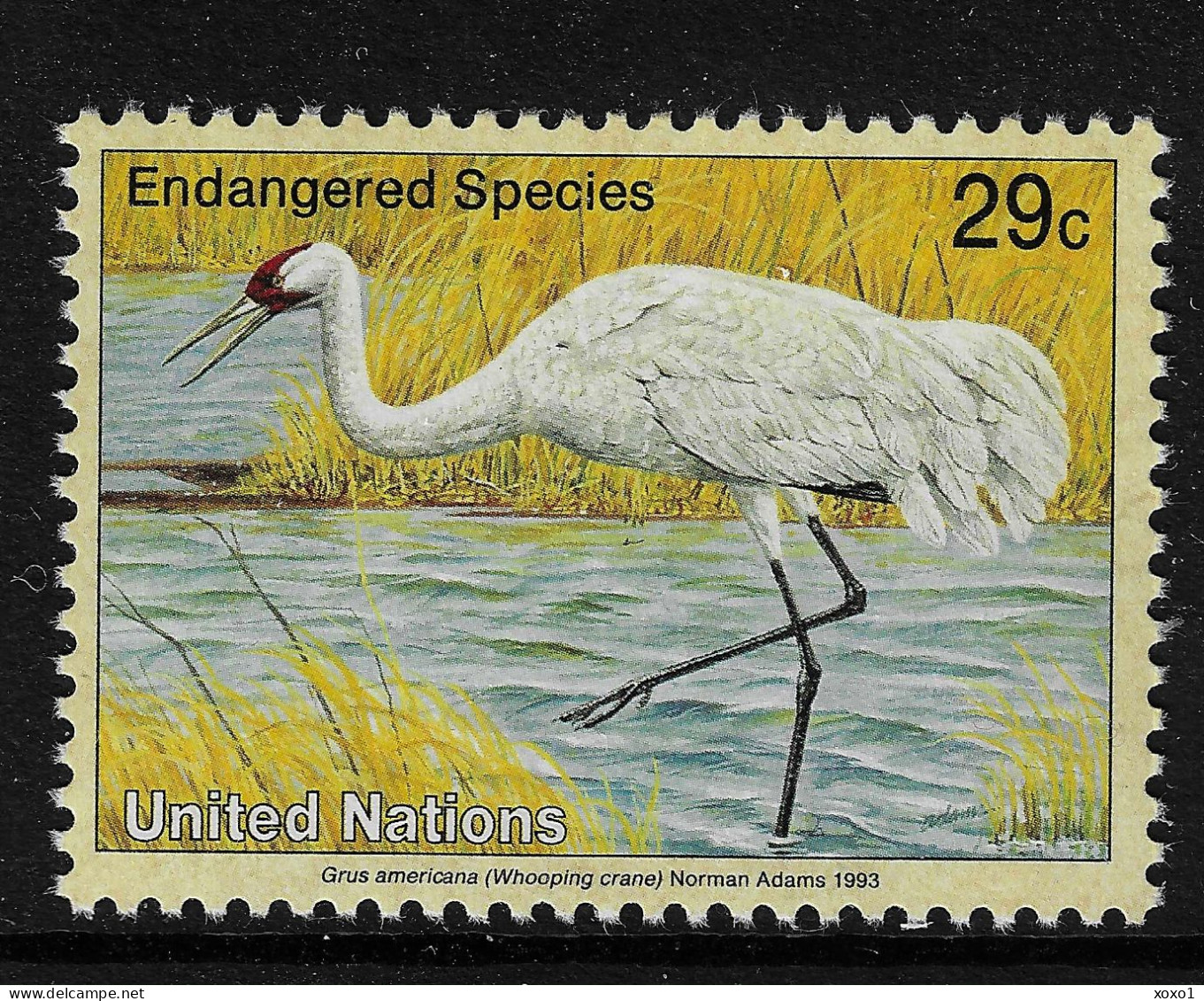 United Nations 1993 MiNr. 645 New York - I  Birds Whooping Crane (Grus Americana) 1v MNH** 0.80 € - Grues Et Gruiformes