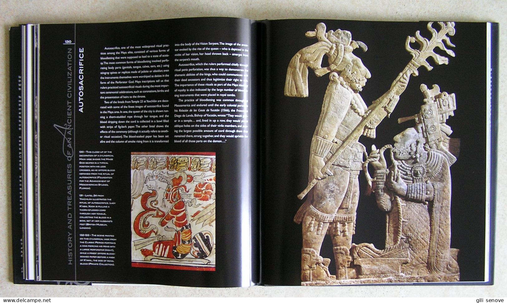 The Maya: History and Treasures of an Ancient Civilization 2006
