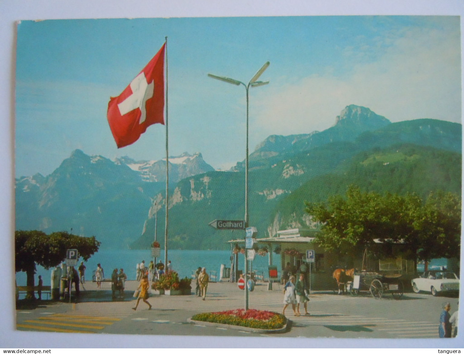 Cpsm Suisse Brunnen Am Vierwaldstättersee Mit Blick Auf Urneralpen - Ingenbohl