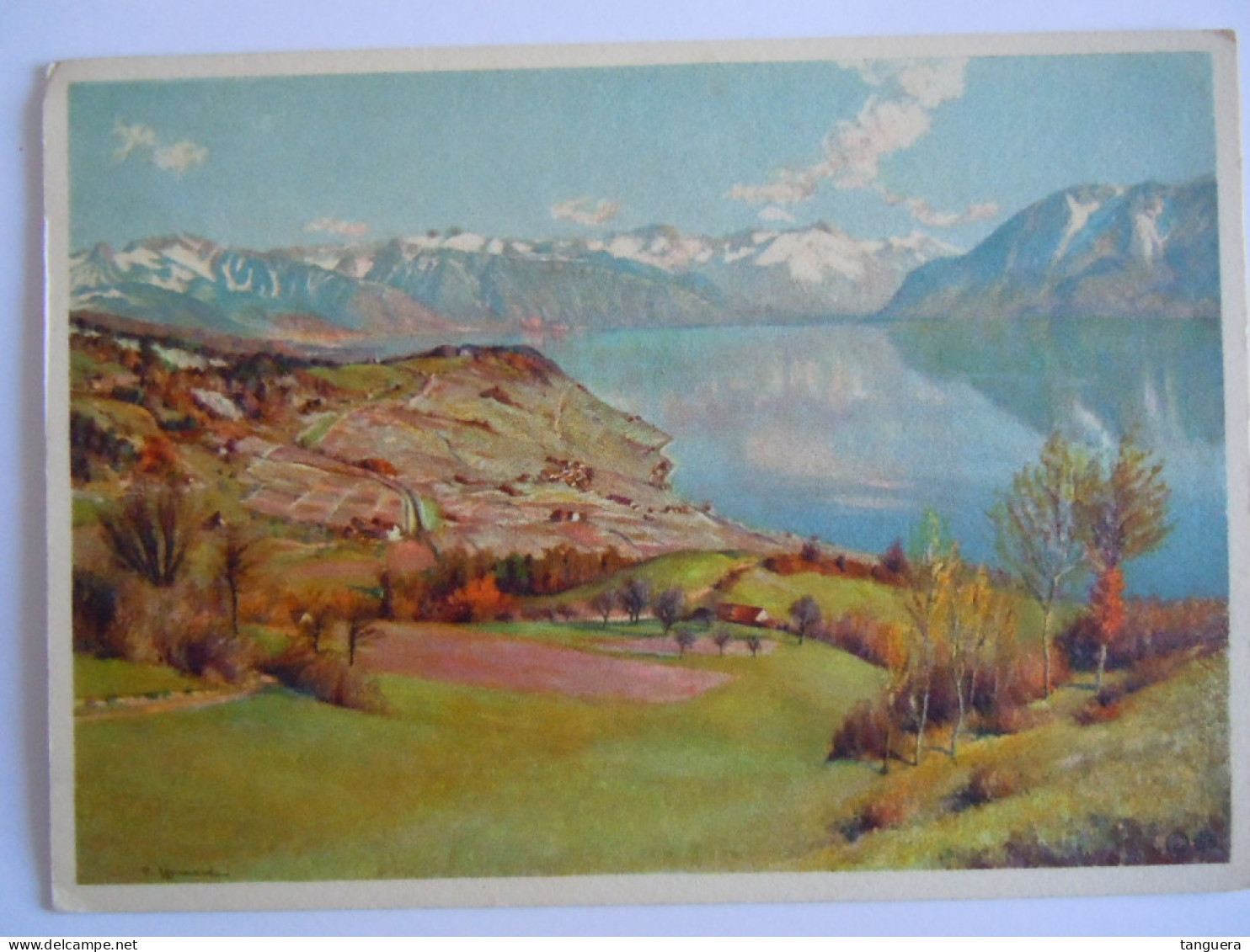 Cpsm Suisse Le Lavaux (Lake Geneva) Tableau Edition Stehli - Rivaz