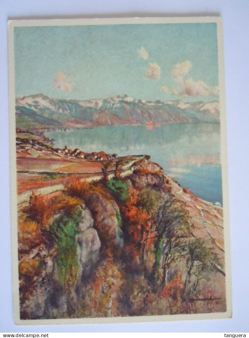 Cpsm Suisse Rochers De Rivaz (Lake Geneva) Tableau Edition Stehli - Rivaz