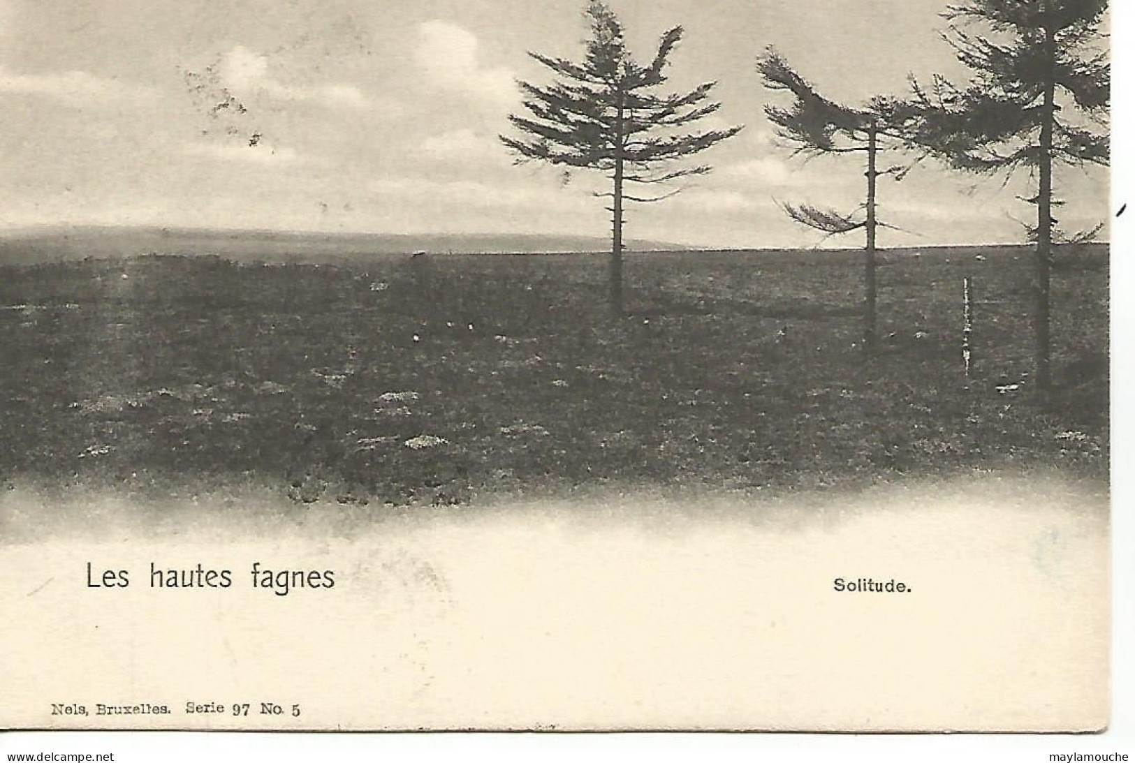 Les Hautes Fagnes ( Carte Nels  Serie 97 ( Jalhay ? - Jalhay