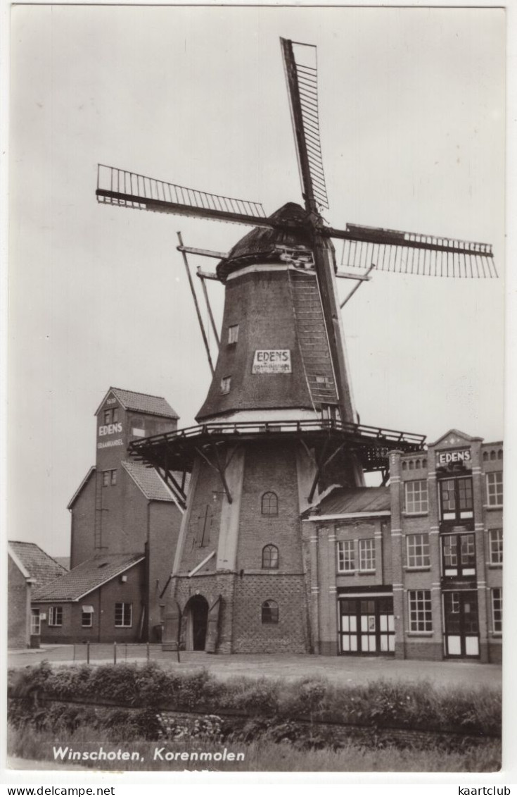 Winschoten, Korenmolen 'Edens' - (Groningen, Nederland/Holland) - MOLEN/MOULIN/MILL/MÜHLE - Winschoten