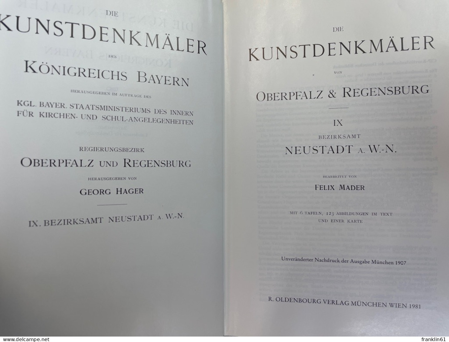 Die Kunstdenkmäler Von Oberpfalz & [und] Regensburg; Band 9., Bezirksamt Neustadt A.W.-N. - Architettura