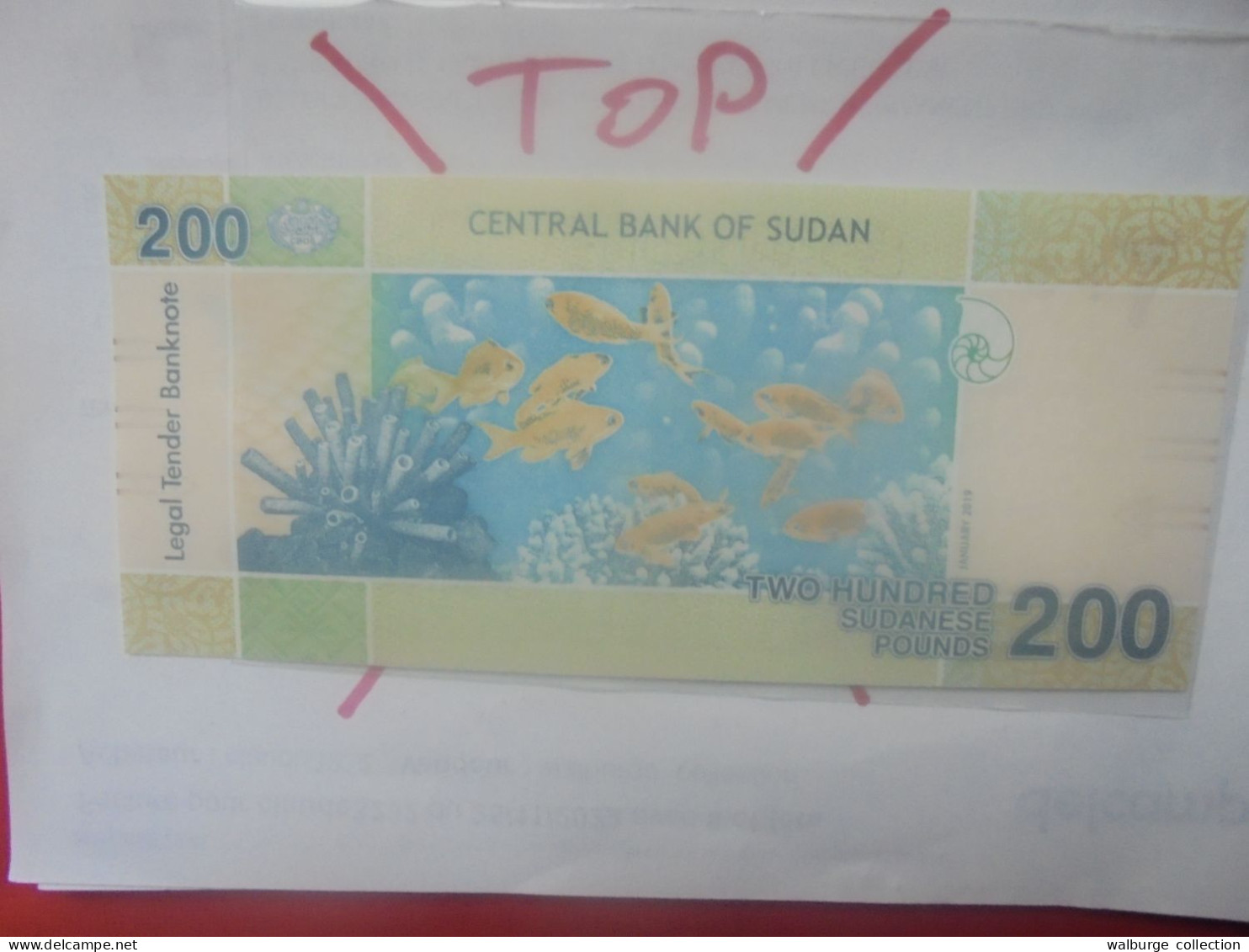 SOUDAN 200 POUNDS 2019 Neuf (B.31) - Sudan