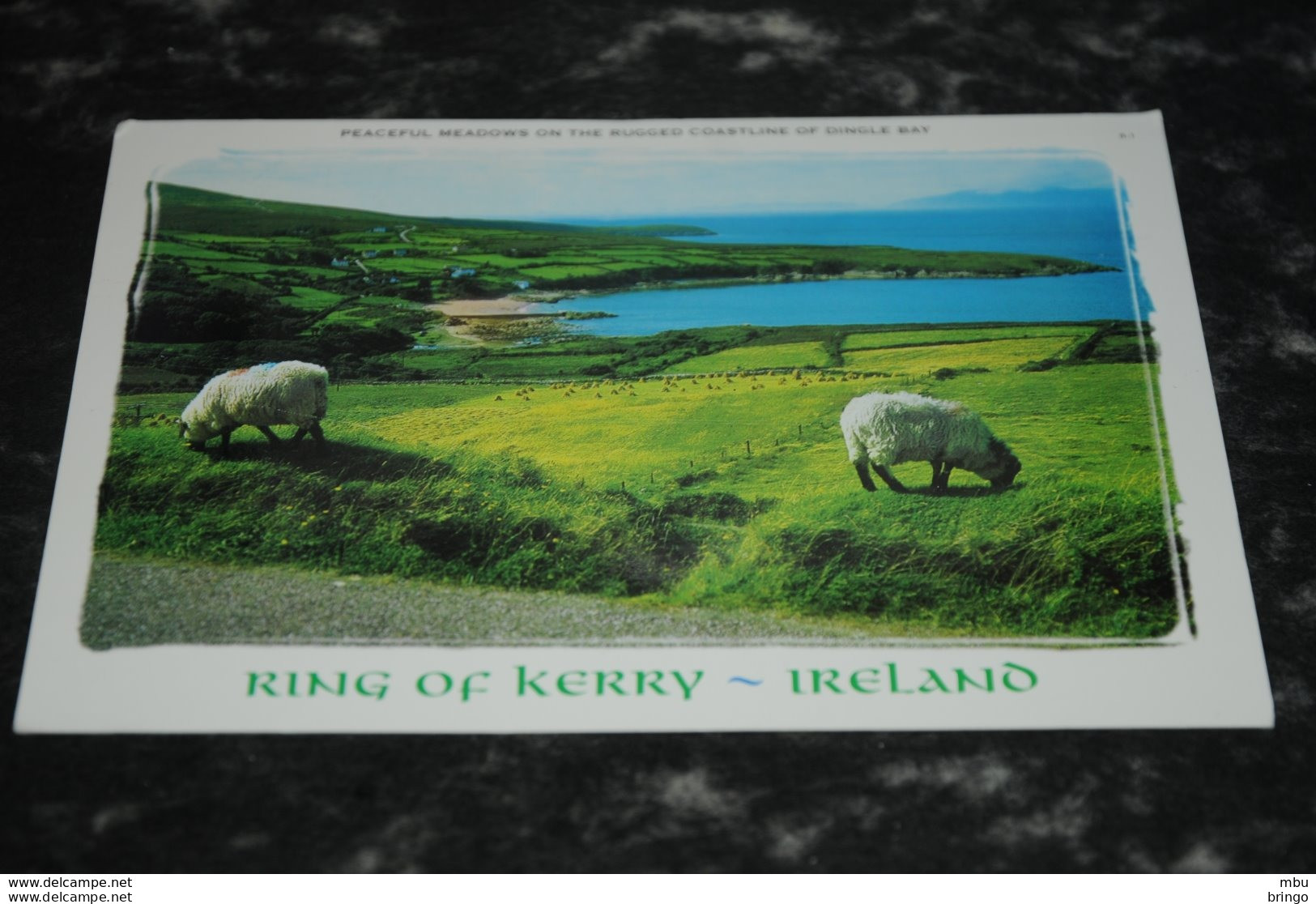 A7396    RING OF KERRY - Kerry