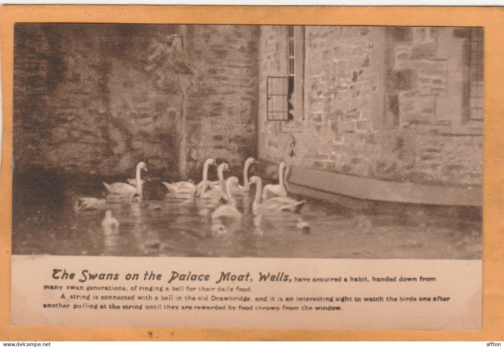 Wells 1920 Postcard - Wells