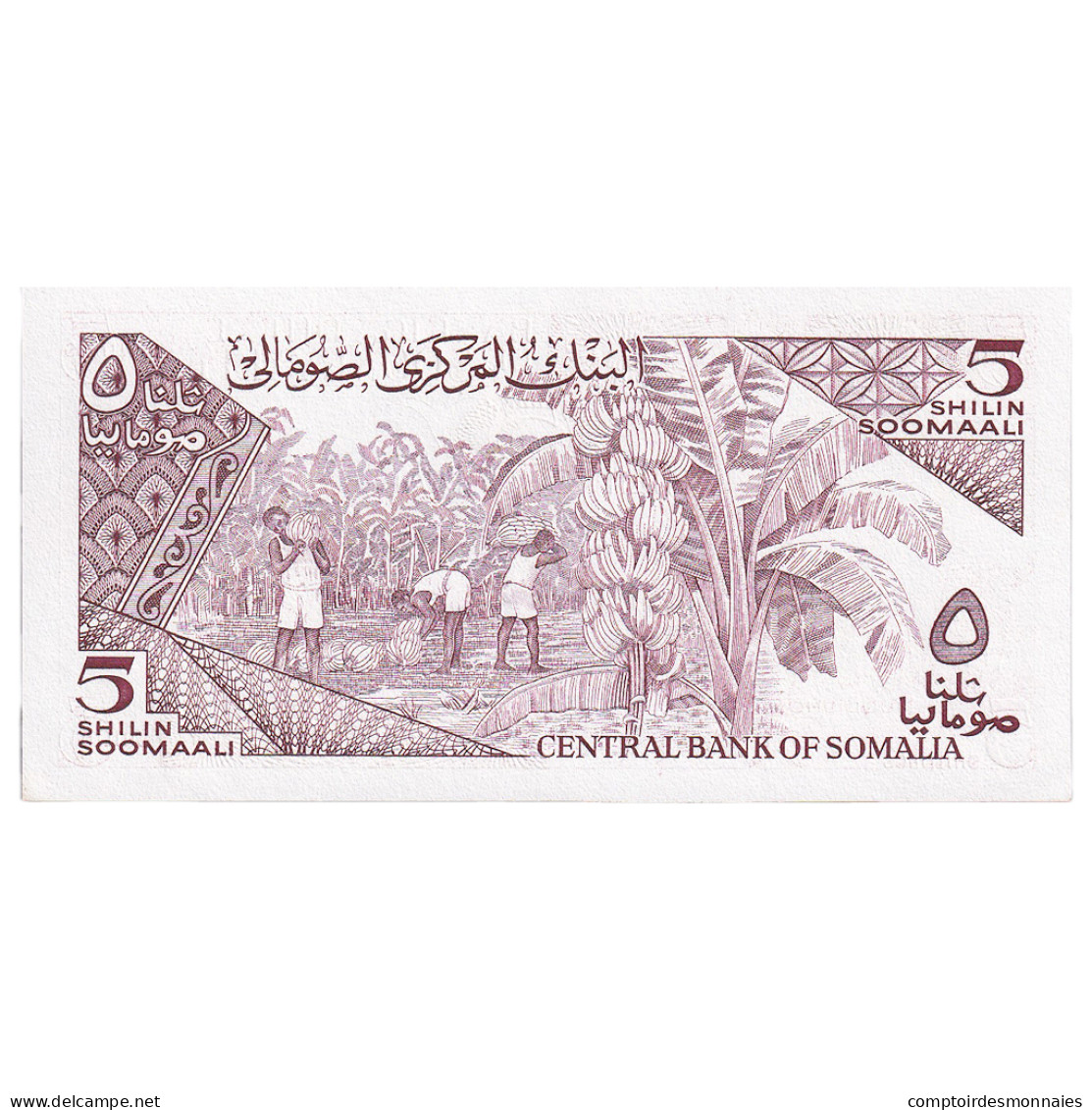 Somalie, 5 Shilin = 5 Shillings, 1987, KM:31c, NEUF - Somalia