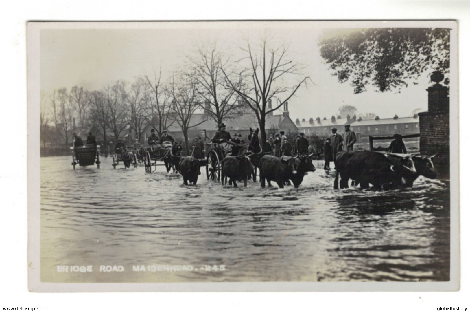 DH1624 - BERKSHIRE - BRIDGE ROAD - MAIDENHEAD - CATTLE ON FLOODED ROAD - "BILL SERIES"  - Autres & Non Classés