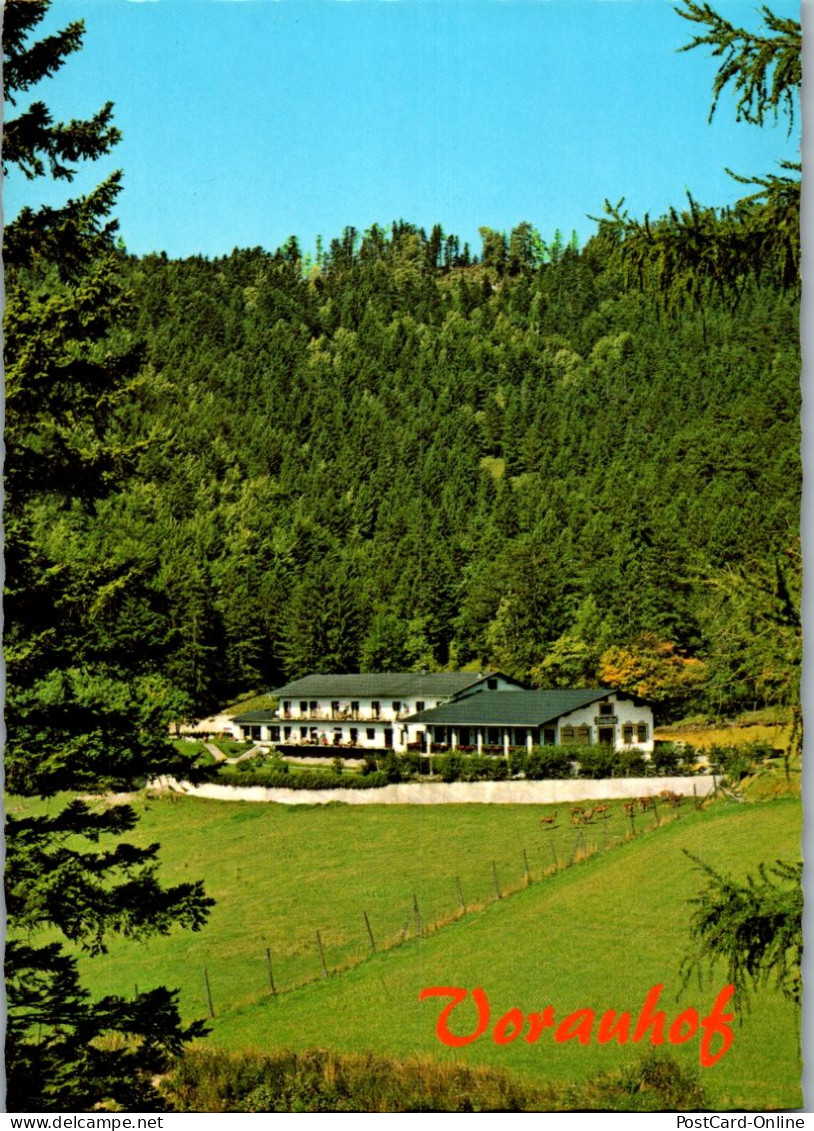 45124 - Niederösterreich - Grünbach A. Schneeberg , Pension Restaurant Vorauhof , Fam. Stickler - Nicht Gelaufen  - Schneeberggebiet