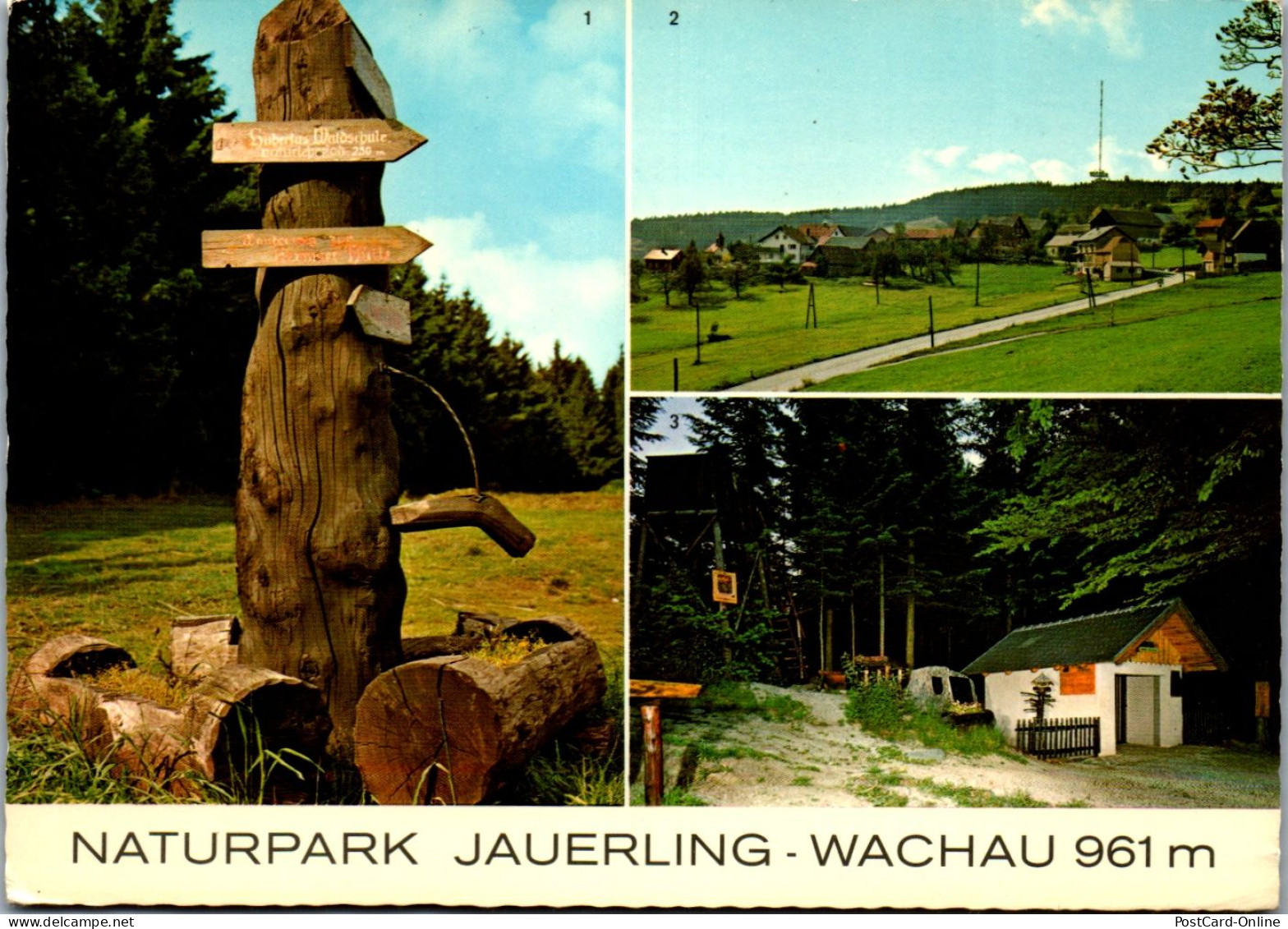 45469 - Niederösterreich - Wachau , Jauerling , Naturpark , Waldschule - Gelaufen  - Wachau