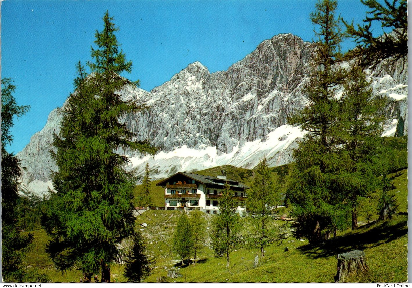 45384 - Steiermark - Schaldming , Ramsau , Berghotel Türlwand , Dachstein - Gelaufen 1981 - Schladming