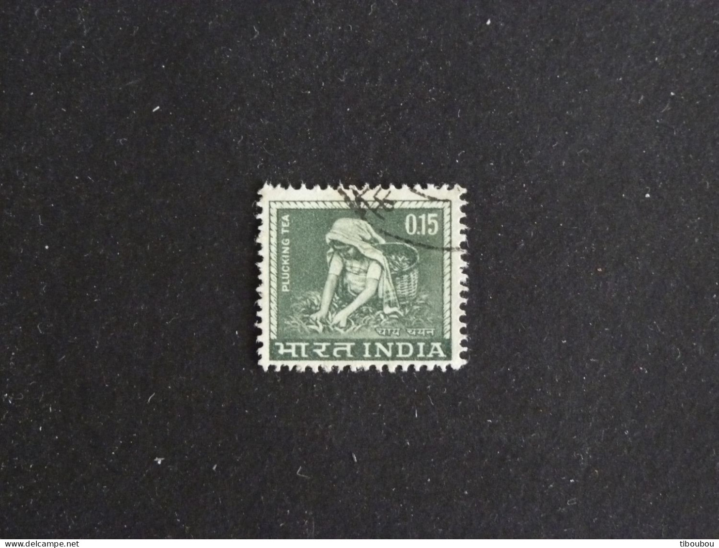 INDE INDIA YT 193 OBLITERE - CUEILLETTE DU THE TEA - Used Stamps