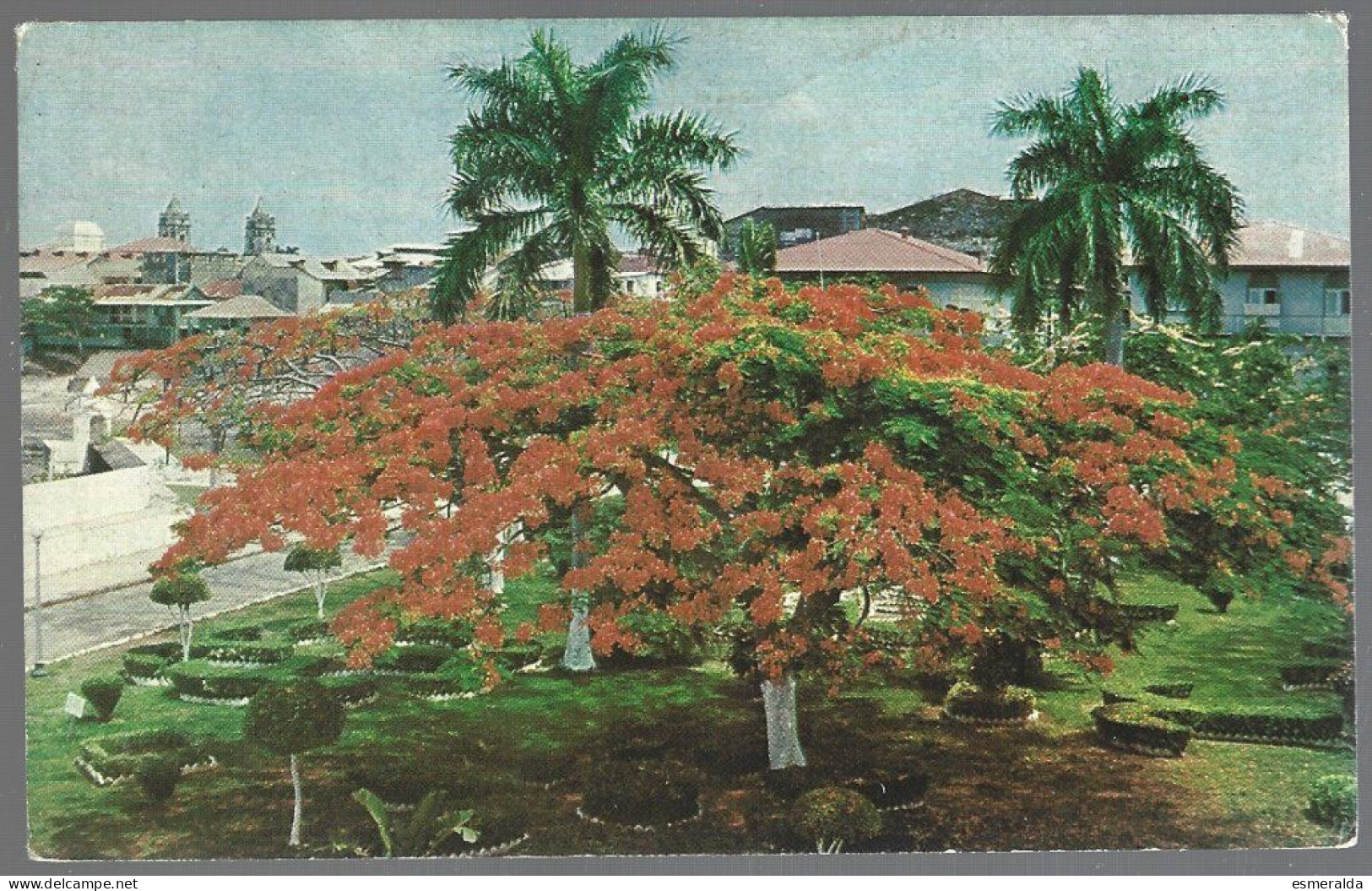 (PAN)  CP FF-218-The Famous Plaza De Francia With Its Beautiful Acacia Trees In Panama City. Unused - Panama