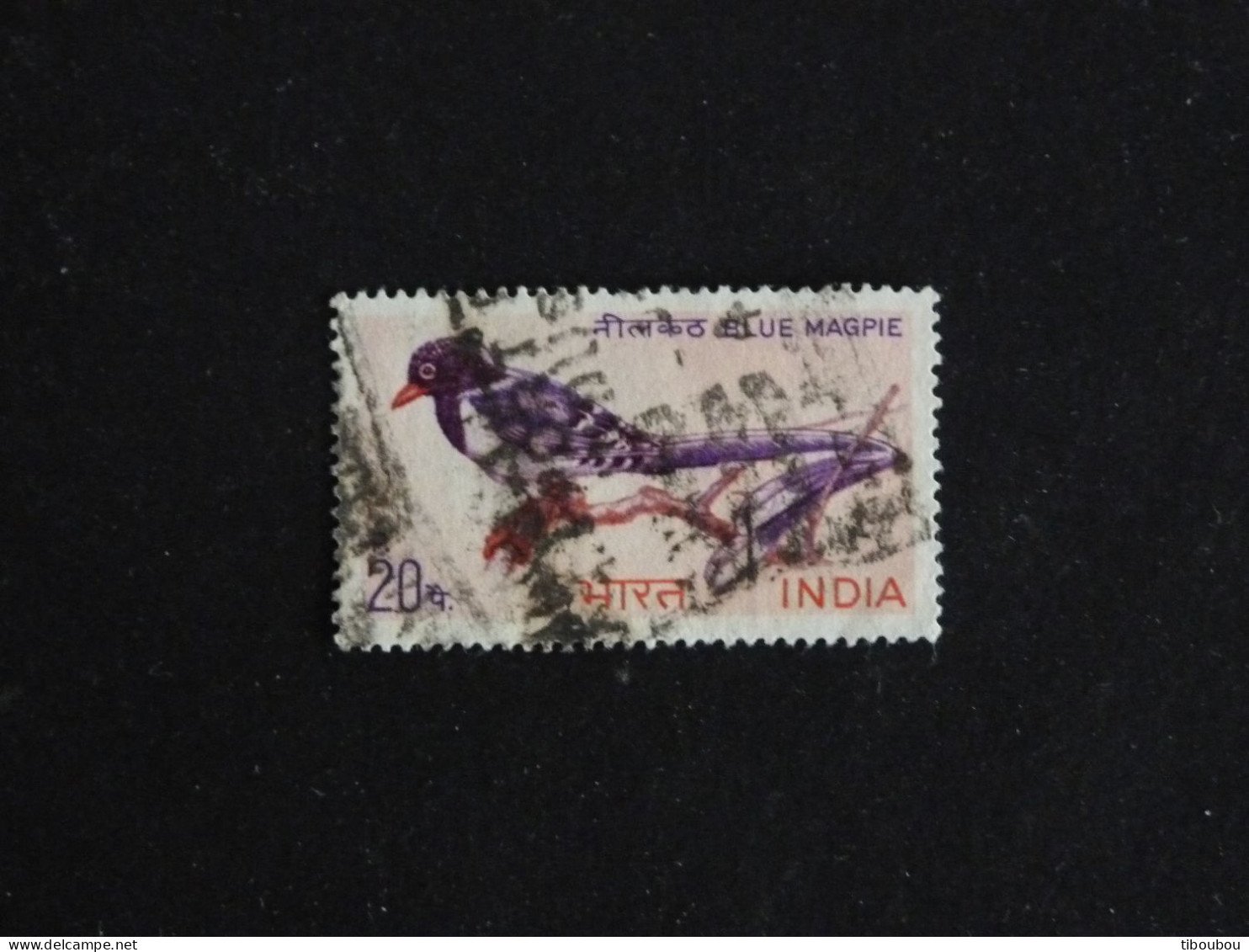 INDE INDIA YT 263 OBLITERE - PIROLLE A BEC ROUGE OISEAU BIRD VOGEL - Usati