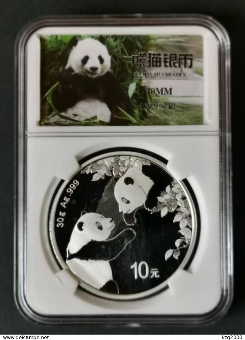 China 2023 Coins 10 Yuan China Panda Silver Coin 30g RMB - China