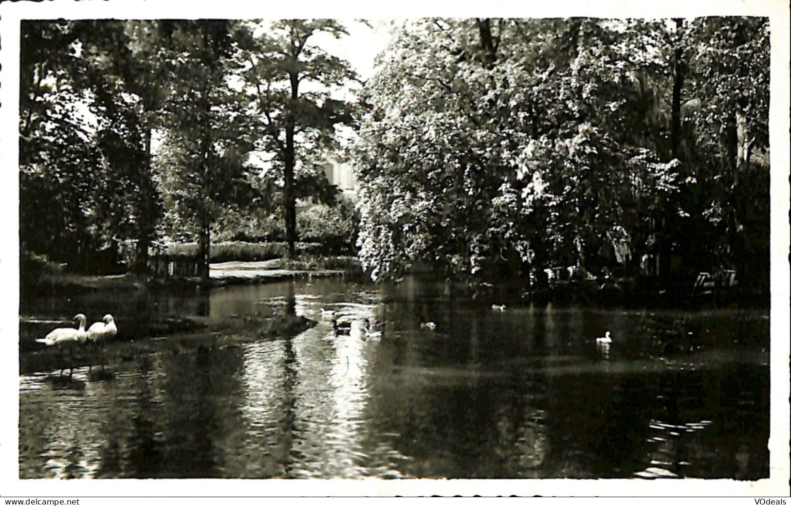 Belgique - Anvers - Lier - Lierre - Parc De La Ville - Lier