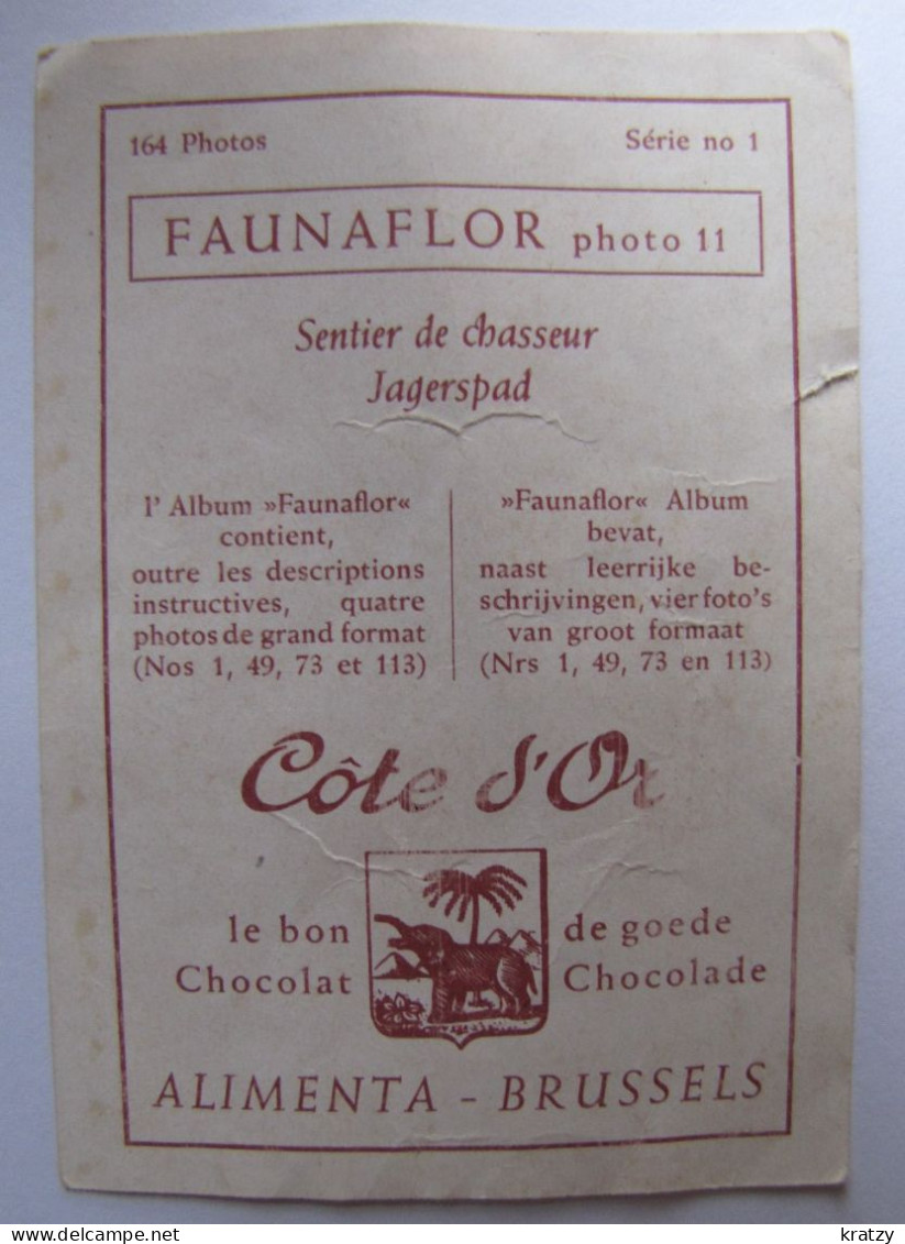 CHROMOS - Chocolat Côte D'Or - Faunaflor - Côte D'Or